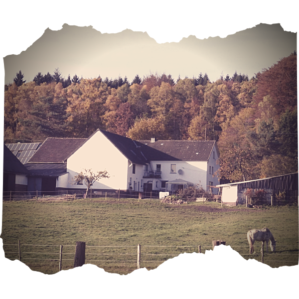 ranch