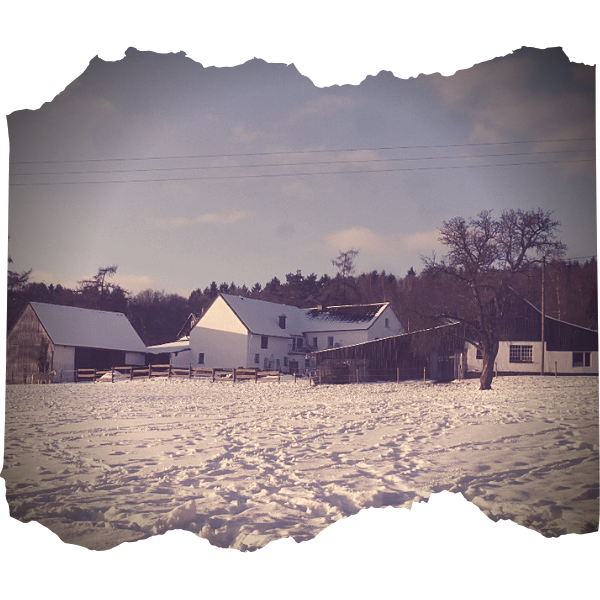 ranch3